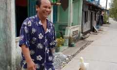 Bị dọa làm thịt, con vịt đi theo chủ như hình với bóng