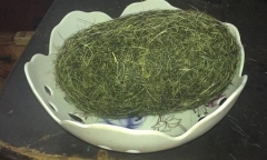 Phát hiện vật nghi