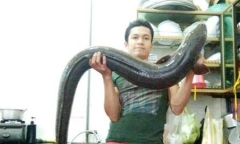 Bắt được cá lệch 