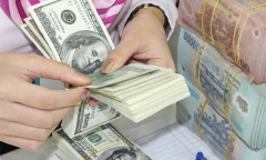 Tỷ giá USD hôm nay 12/6: Đồng USD duy trì ổn định