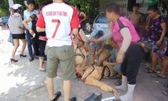Tin tức thời sự 24h mới nhất ngày 23/3