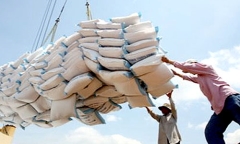 Xuất khẩu gạo nửa đầu tháng 12 tăng 43%