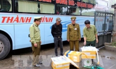 Bắt giữ nhiều lô hải sản bốc mùi ở Quảng Ninh