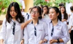 Đáp án, đề thi môn Sinh học mã đề 201 tốt nghiệp THPT 2020 chính xác nhất