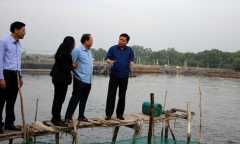 Bí thư Đinh La Thăng gợi ý cho mỗi hộ dân vay 400 triệu nuôi chim yến