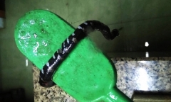 TP. HCM mưa như
