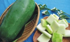 Tác dụng bất ngờ của quả vú sữa khiến chị em 'mê tít'