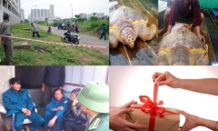 Tin tức thời sự 24h mới nhất ngày 29/12