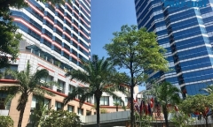 Chủ tịch UBND TP. Hà Nội: Viwasupco đã giấu giếm sự cố nước nhiễm dầu thải