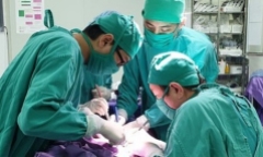 Tin tức đời sống mới nhất ngày 20/10/2019: Bé 2 tuổi mắc khối u hiếm gặp