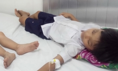 Nguyên nhân hơn 500 học sinh Hậu Giang ngộ độc sữa