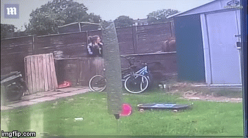 Video: Bò nổi điên phá tan hàng rào đuổi theo cô gái trẻ sau ánh mắt 