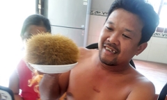 Mổ lợn ăn Tết, anh nông dân phát hiện vật lạ nghi “cát lợn” quý hiếm