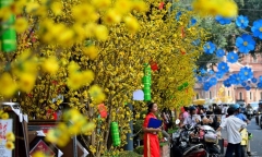 Đoản khúc Tết
