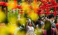 Thế giới rộn ràng trong không khí đón Tết Nguyên đán Kỷ Hợi 2019