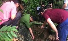 Sự thật tìm thấy 3 tấn vàng trong hang “Bò Hống” ở Lạng Sơn