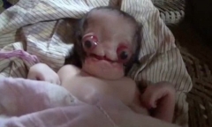 Em bé mới sinh có vẻ ngoài của 