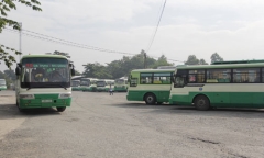 TP HCM tăng hơn 1.000 chuyến xe bus phục vụ người dân dịp Tết Dương lịch