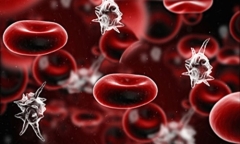 Vụ 4 trẻ sơ sinh tử vong do sốc nhiễm khuẩn: Hội chứng nguy hiểm dễ cướp sinh mạng thế nào?