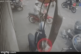 Hi hữu: Trộm 