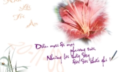 Ngày 20/11: Lời chúc hay nhất dành tặng thầy, cô giáo