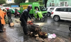 Mưa gió lớn kéo đổ cây xanh, một phụ nữ mắc kẹt