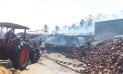 Gần 100 người căng mình dập lửa nhà máy chế biến chỉ xơ dừa
