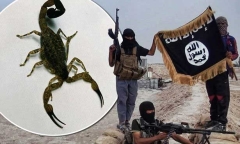 IS đánh bom bọ cạp sống gieo rắc kinh hoàng tại Iraq