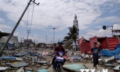 Động đất, sóng thần Indonesia: Chưa có tin người Việt thương vong