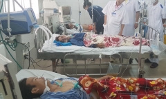 5 người nhập viện cấp cứu trong tình trạng nguy kịch sau khi nhậu cá nóc