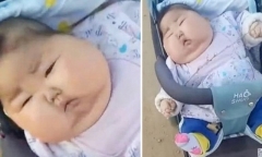 Có cháu trai mũm mĩm, bà nội đi khoe khắp nơi nhưng mẹ thì 