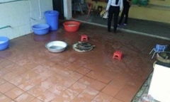Vụ bé 4 tuổi bị dọa thả vào máy vặt lông gà: Cách chức hiệu trưởng