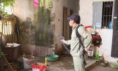 Thủ tướng Chính phủ yêu cầu tăng cường phòng chống sốt xuất huyết