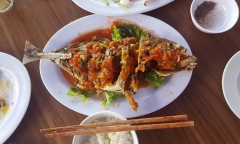 Thành ủy Đà Nẵng chỉ đạo kiểm tra, xử lý nhà hàng bị tố 
