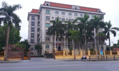 Vụ Giám đốc bổ nhiệm 