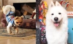  Video: Những khả năng 