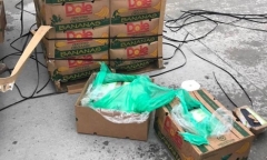 Mỹ điều tra số cocain trị giá 18 triệu USD: 'Cuộc sống mang lại cho bạn những quả... chuối'