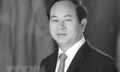 Tiểu sử Ủy viên Bộ Chính trị, Chủ tịch nước Trần Đại Quang