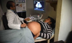 Virus Zika: Trường hợp thai phụ thụ tinh ống nghiệm đầu tiên nhiễm Virus Zika 