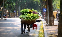 Dự báo thời tiết ngày 8/4: Hà Nội ban ngày nắng đẹp, chiều tối có mưa dông
