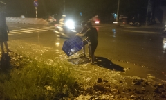 Nửa tấn cá đổ xuống đường, người dân gom giúp tài xế không thiếu một con
