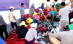Ngư dân trúng 