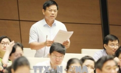 Đại biểu Quốc hội tranh luận trái chiều về đấu giá biển số đẹp