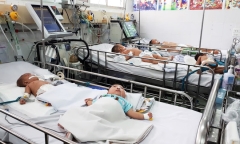 Mùa hè nắng nóng, cảnh giác bệnh viêm não Nhật Bản ở trẻ nhỏ