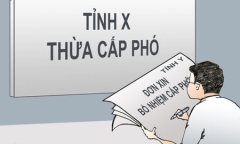 Gia Lai bổ nhiệm gần 300 cán bộ thiếu tiêu chuẩn