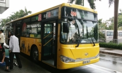 TP HCM sẽ thu 200 tỷ từ quảng cáo trên xe buýt