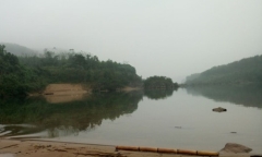 Ra thông báo tìm Giám đốc rừng phòng hộ