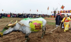 Chùm ảnh: Lễ Tịch Điền