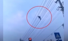 Video: Thót tim người đàn ông say rượu 