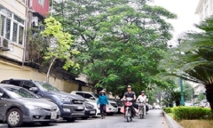 Hà Nội gắn tên phố kỷ niệm 70 năm toàn quốc kháng chiến